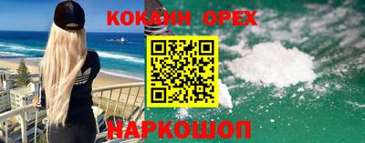 шишки Владимир