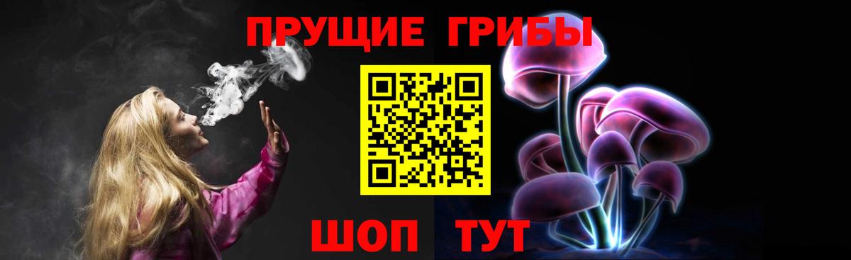 Псилоцибиновые грибы GOLDEN TEACHER Богданович